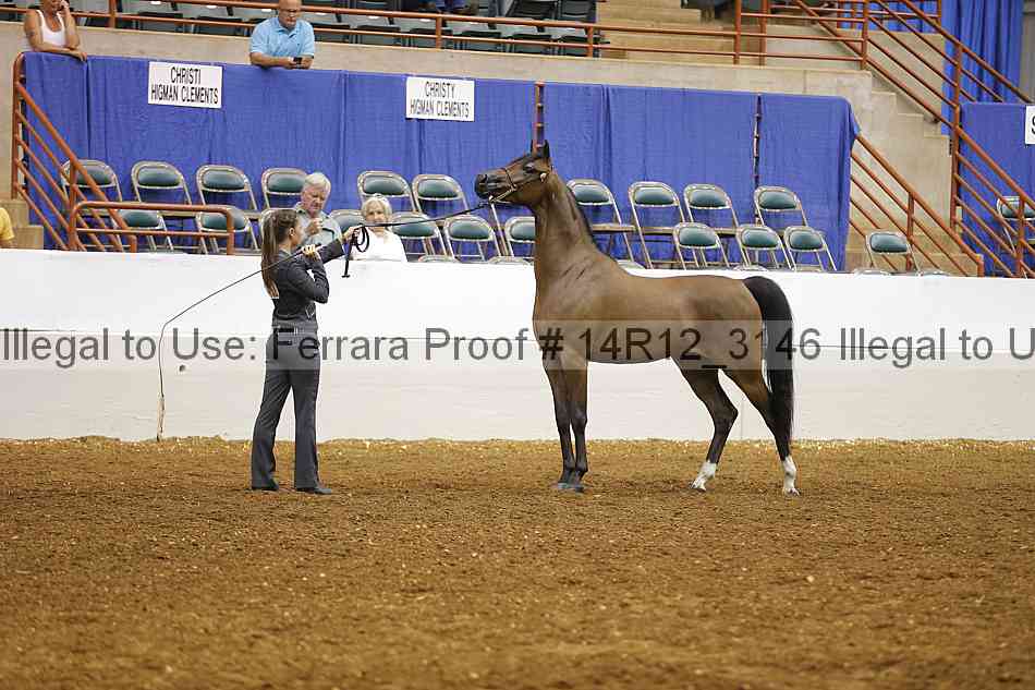 Proof 14r12_3146