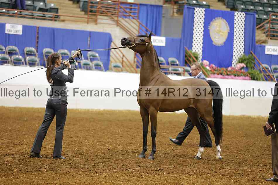 Proof 14r12_3147