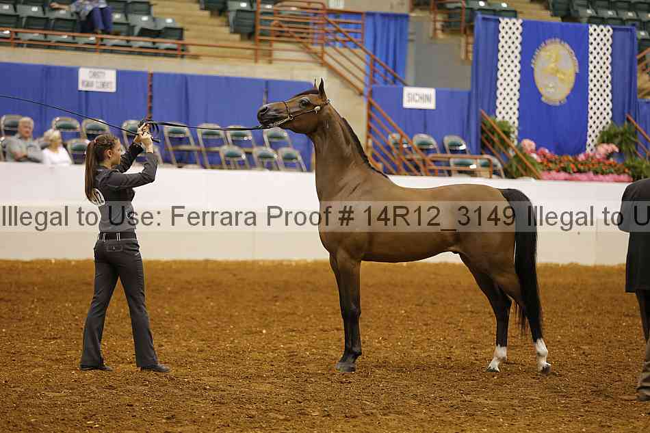 Proof 14r12_3149