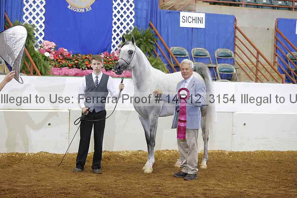 Proof 14r12_3154