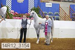 14r12_3154 proof
