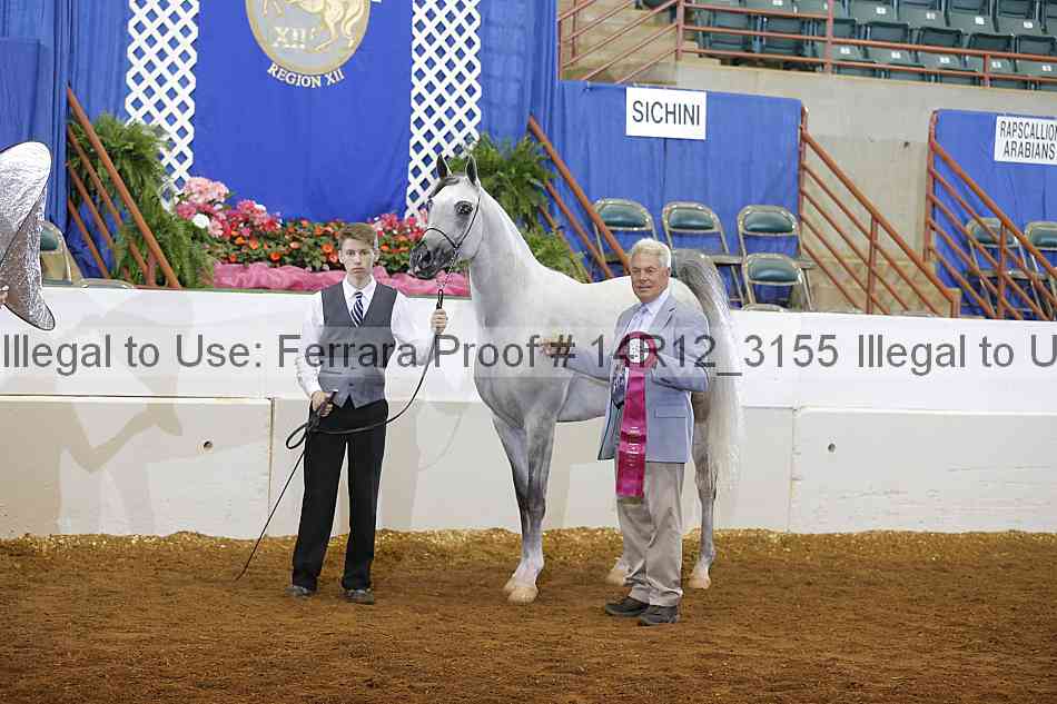 Proof 14r12_3155