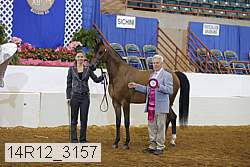14r12_3157 proof