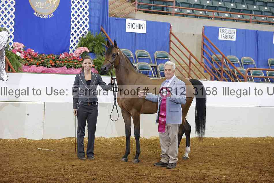 Proof 14r12_3158