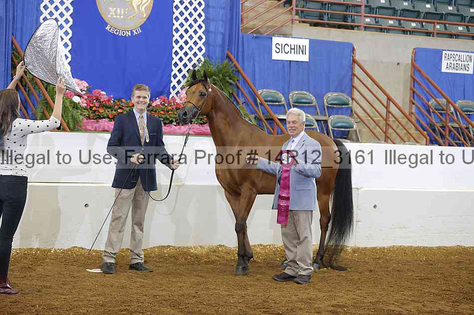 Proof 14r12_3161