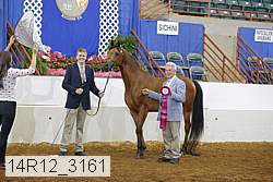 14r12_3161 proof