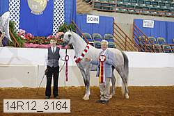 14r12_3164 proof