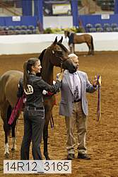 14r12_3165 proof
