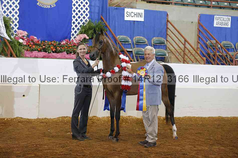 Proof 14r12_3166