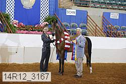 14r12_3167 proof