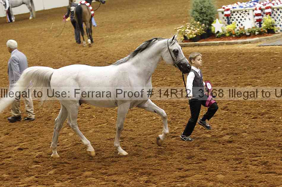 Proof 14r12_3168