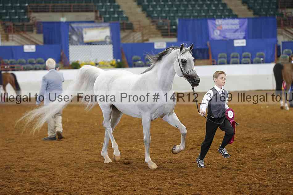 Proof 14r12_3169