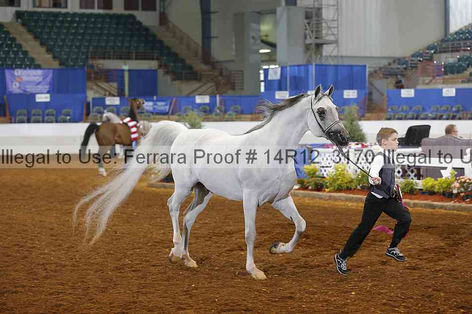 Proof 14r12_3170