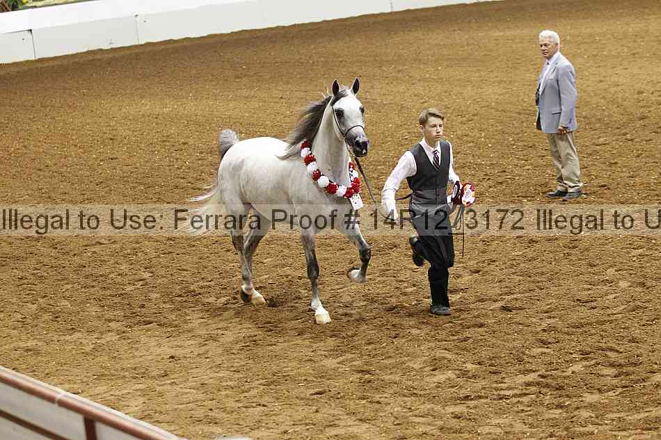 Proof 14r12_3172