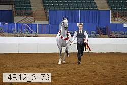 14r12_3173 proof