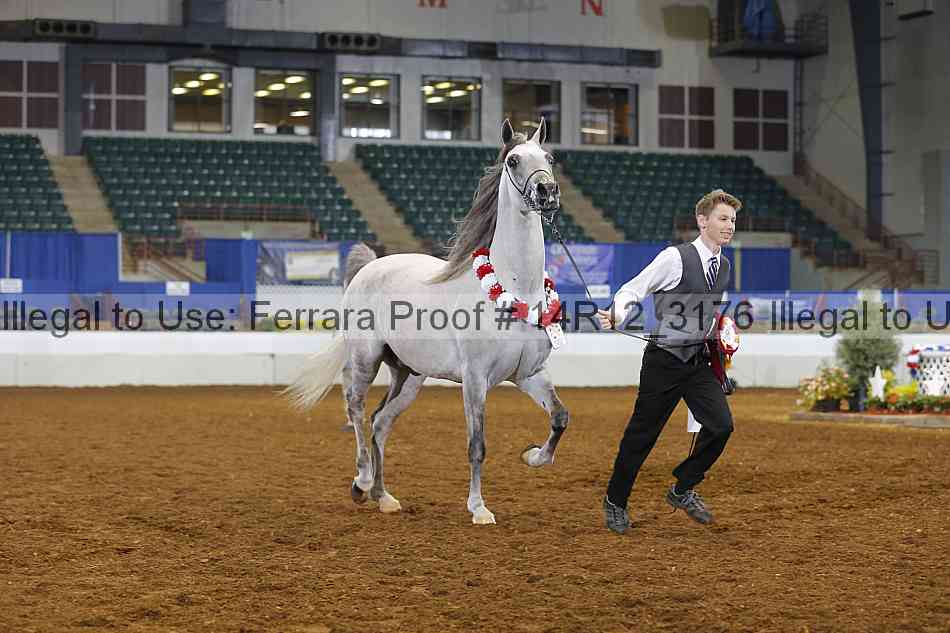 Proof 14r12_3176