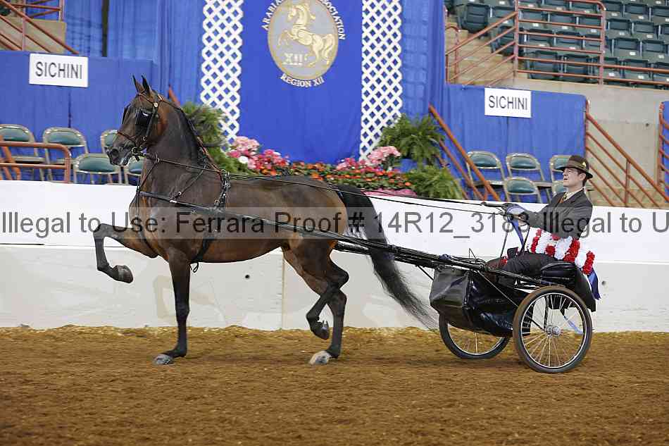 Proof 14r12_3183