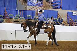 14r12_3189 proof