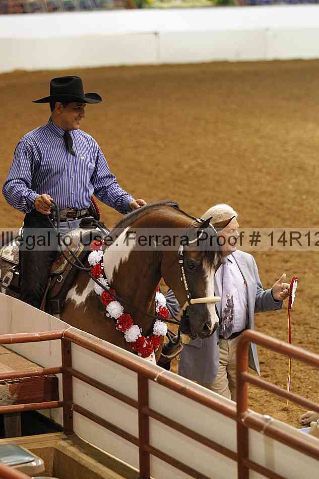 Proof 14r12_3195