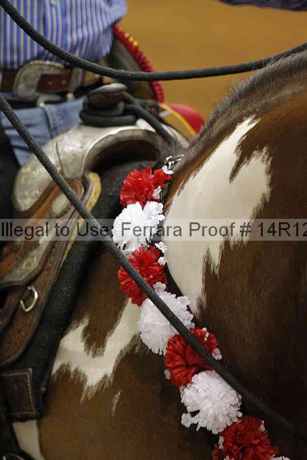 Proof 14r12_3197