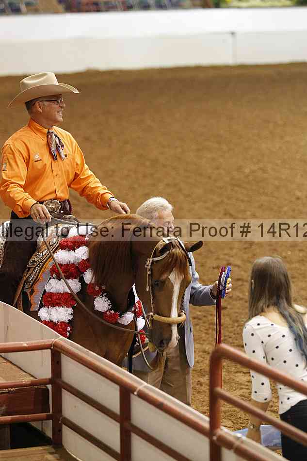 Proof 14r12_3199