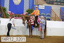 14r12_3201 proof