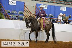 14r12_3203 proof