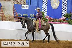 14r12_3205 proof
