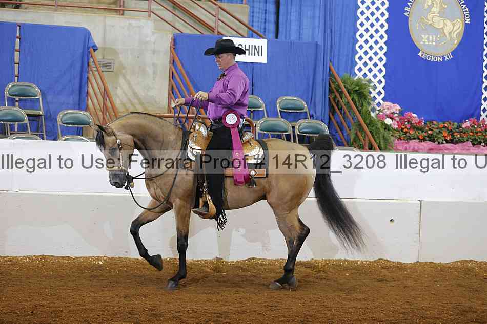 Proof 14r12_3208