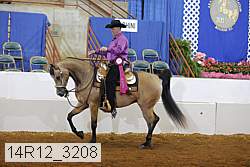 14r12_3208 proof