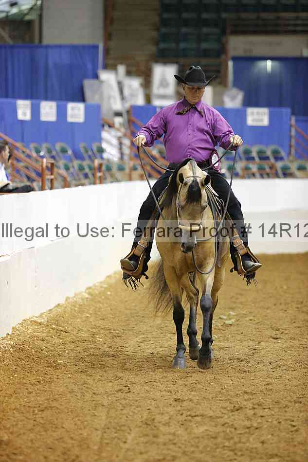 Proof 14r12_3209