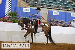 14r12_3211 proof