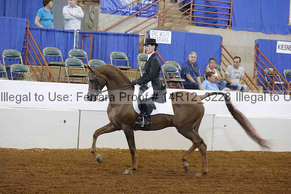 Proof 14r12_3228