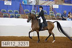 14r12_3231 proof