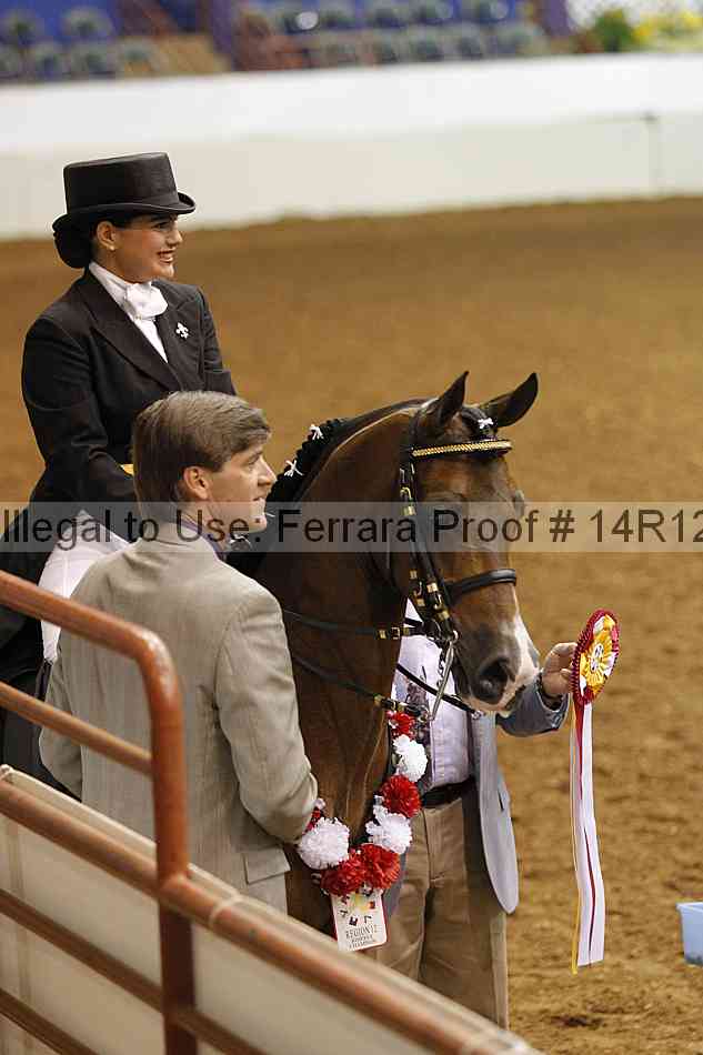 Proof 14r12_3237