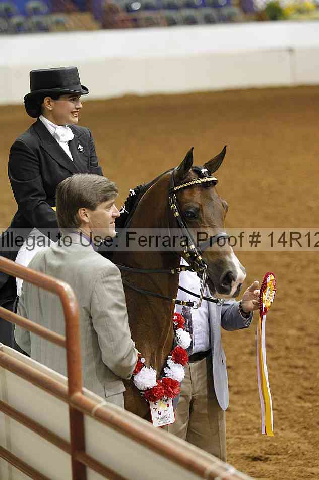 Proof 14r12_3238