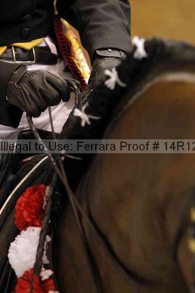 Proof 14r12_3241