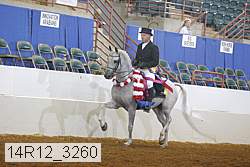 14r12_3260 proof
