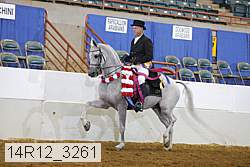 14r12_3261 proof