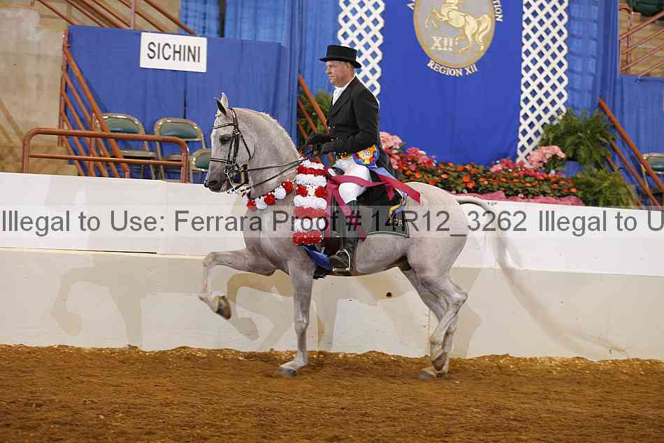 Proof 14r12_3262