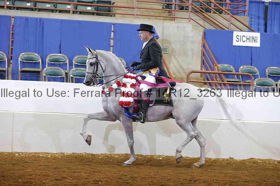 Proof 14r12_3263