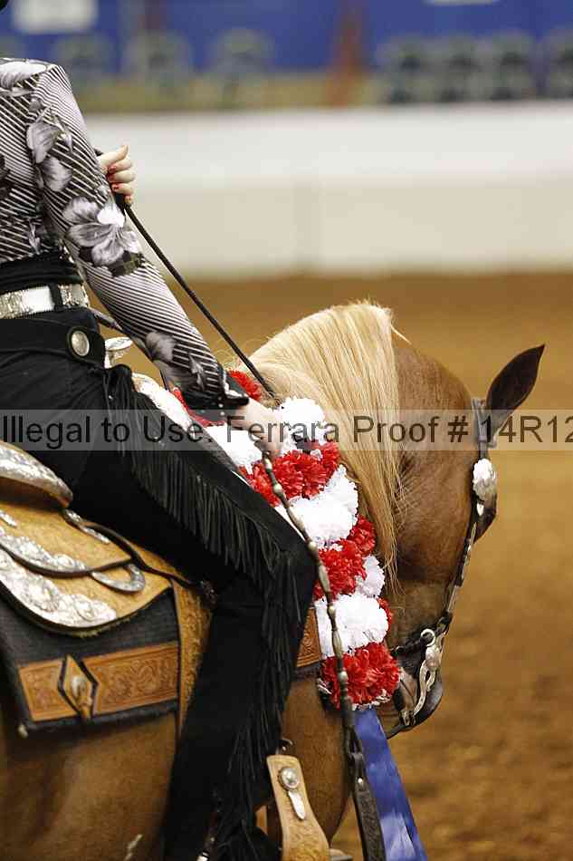 Proof 14r12_3272