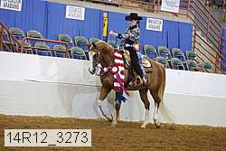 14r12_3273 proof