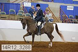 14r12_3288 proof