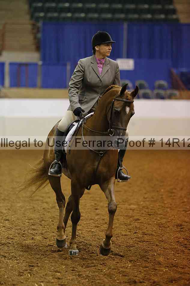 Proof 14r12_3294