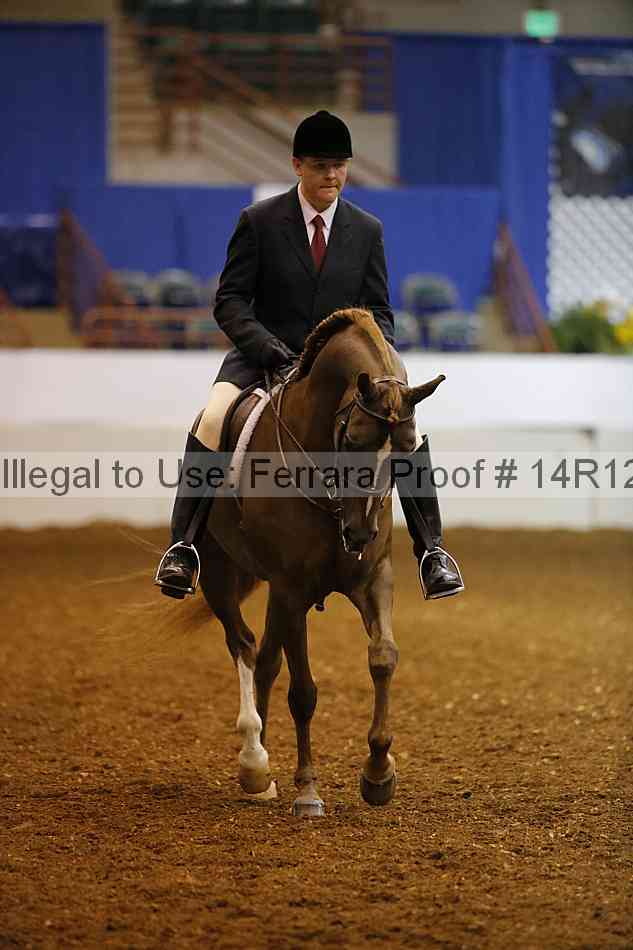 Proof 14r12_3295