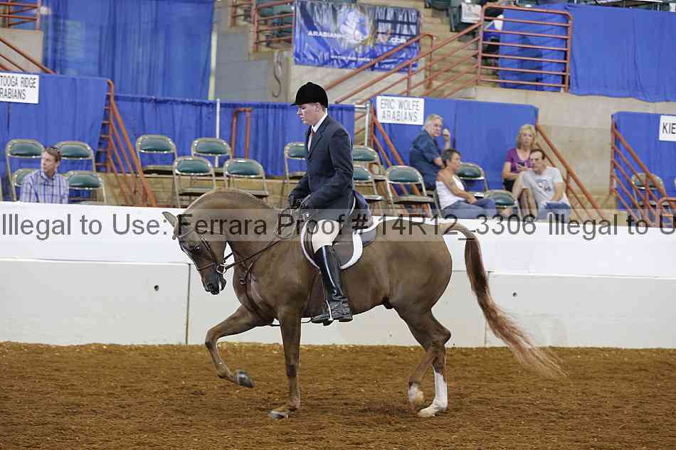 Proof 14r12_3306