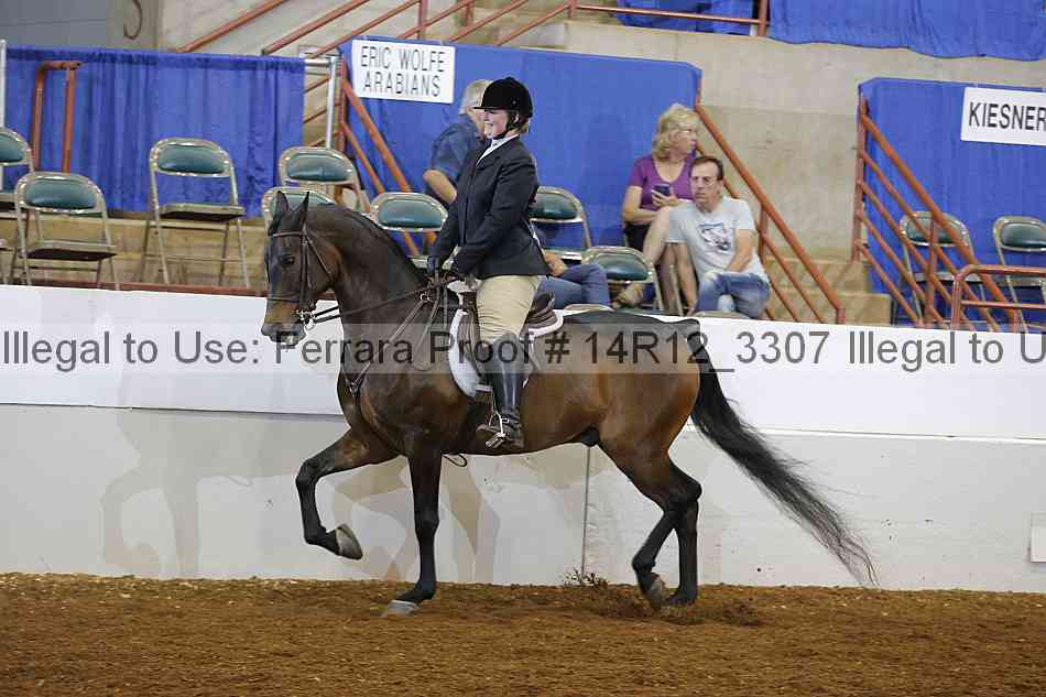 Proof 14r12_3307