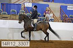 14r12_3307 proof