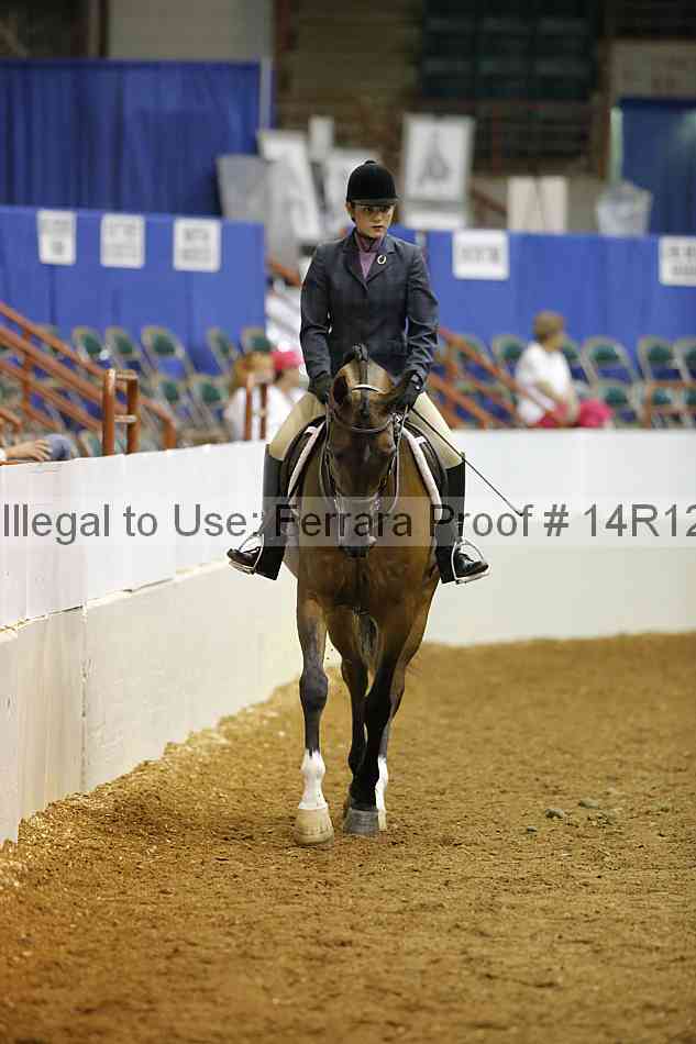Proof 14r12_3308